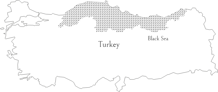 Black Sea map